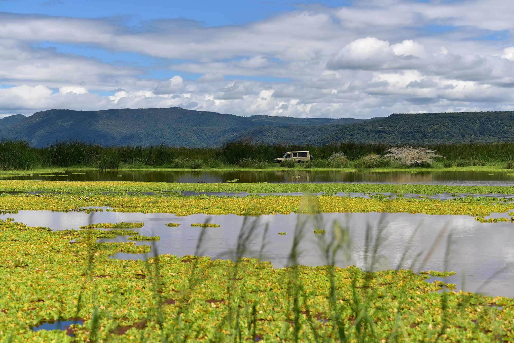 Lake Manyara National Park