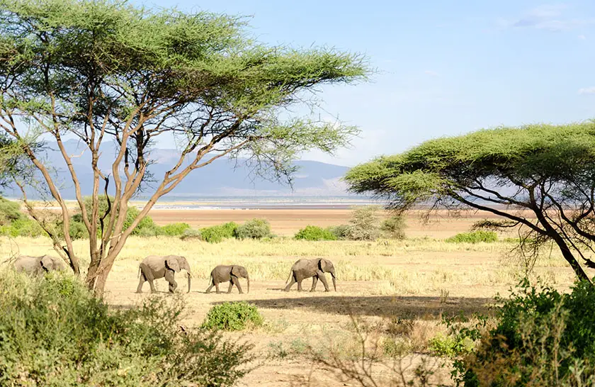 Serengeti National Park