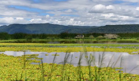 Lake Manyara National Park