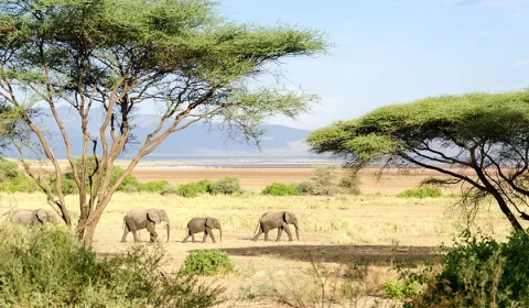 Serengeti National Park