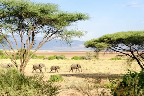 Serengeti National Park