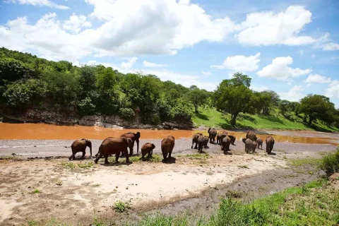 3 Days Safari to Tarangire, Serengeti & Ngorongoro Crater